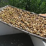 Agritursmo Montesalerno 디아망테