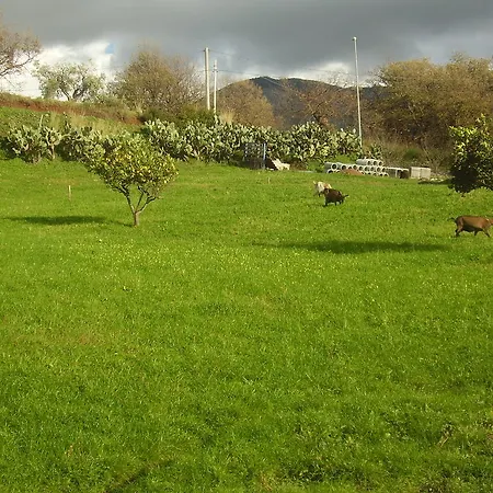 Agroturismo Montesalerno Diamante