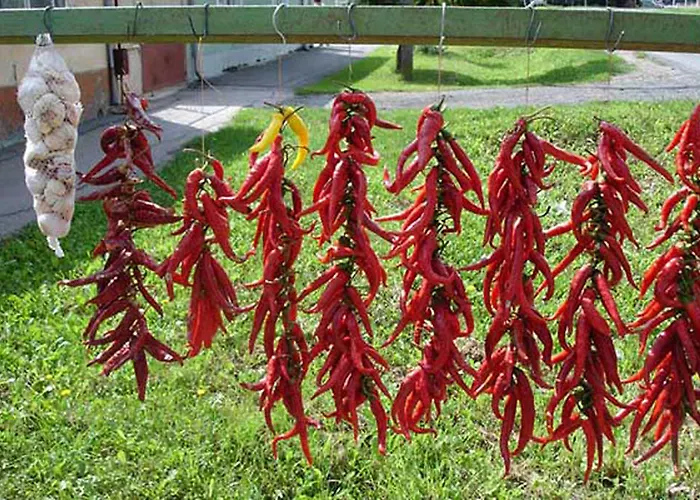 Agritursmo Montesalerno Diamante