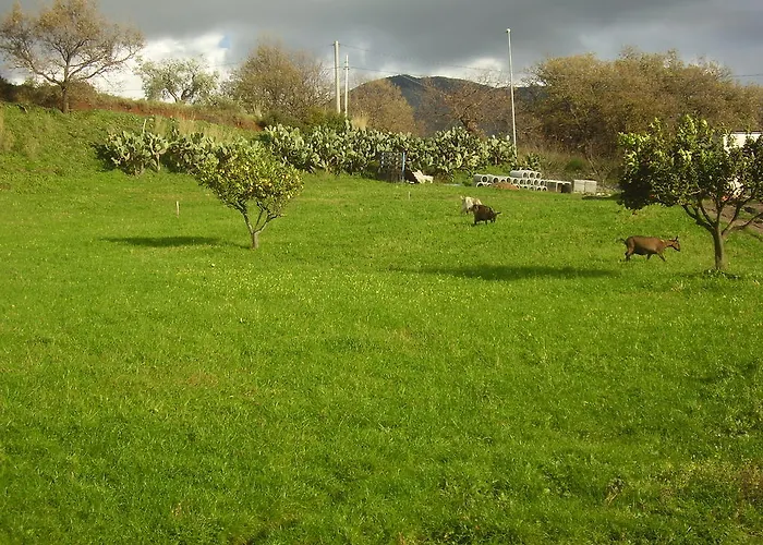 Alloggio per agriturismo Agritursmo Montesalerno Diamante