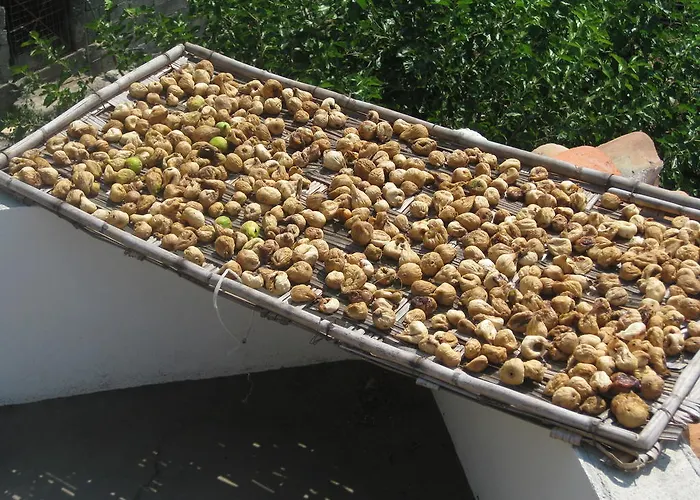 Agritursmo Montesalerno Diamante